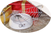 Percy insisted on spinning HIS web over poor Magnifi-Cat's food bowl!